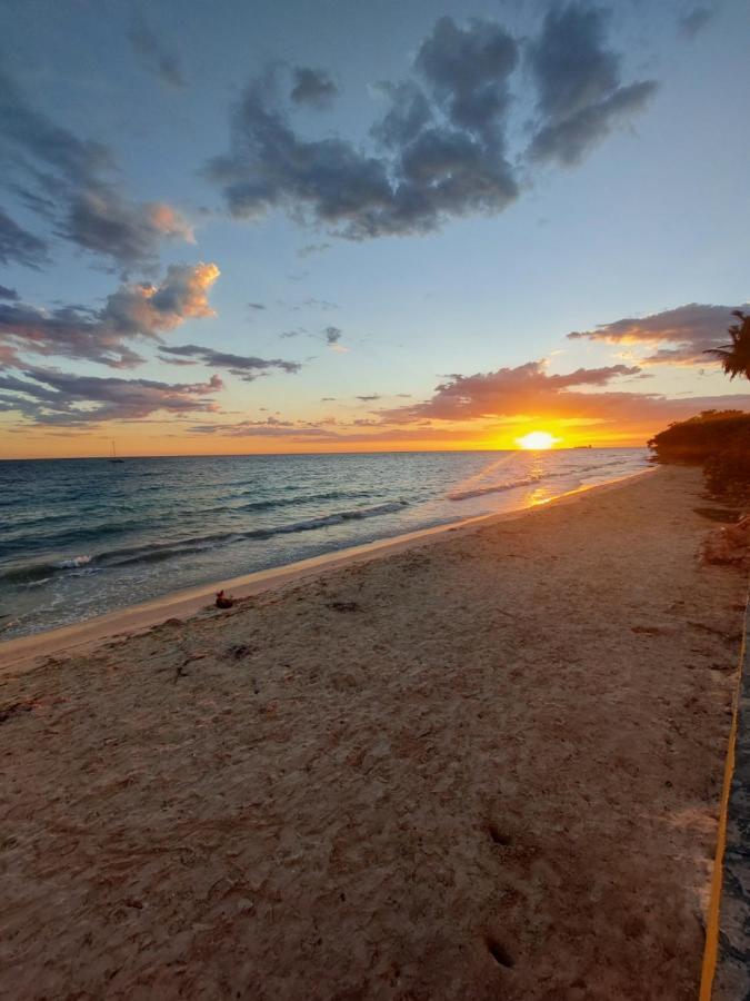 El Aplatanao Hotel Pedernales Eksteriør bilde