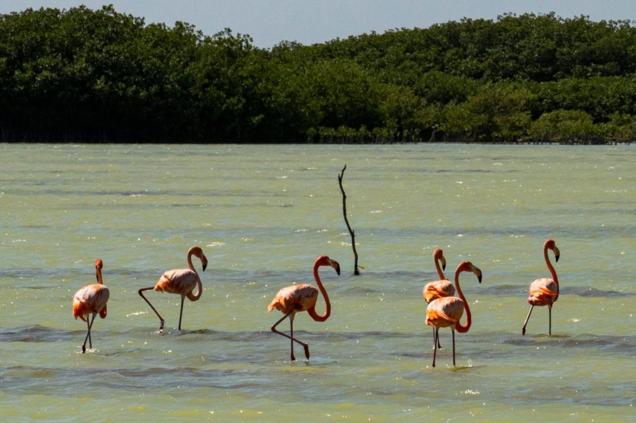 El Aplatanao Hotel Pedernales Eksteriør bilde
